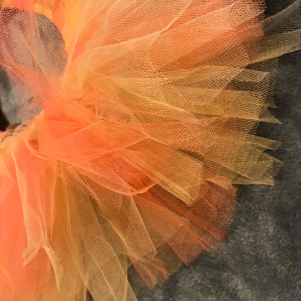 Fall TuTu - Picture 3 of 7
